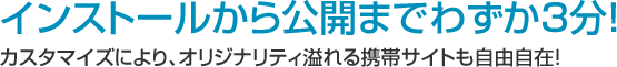 インストールから公開までわずか3分！カスタマイズにより、オリジナリティ溢れる携帯サイトも自由自在！